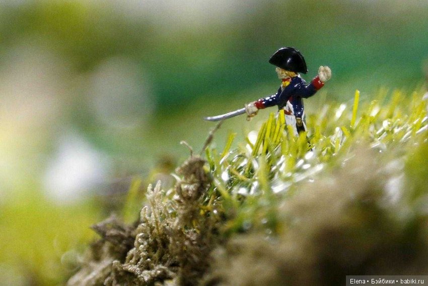 Битва при Ватерлоо в миниатюре (фото 8)