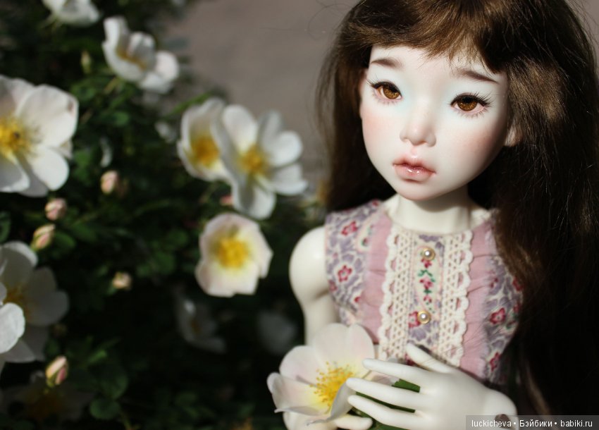 Пройдёмте в сад, я покажу Вас розам! Дикие розы и Файлин. Мой фотогербарий