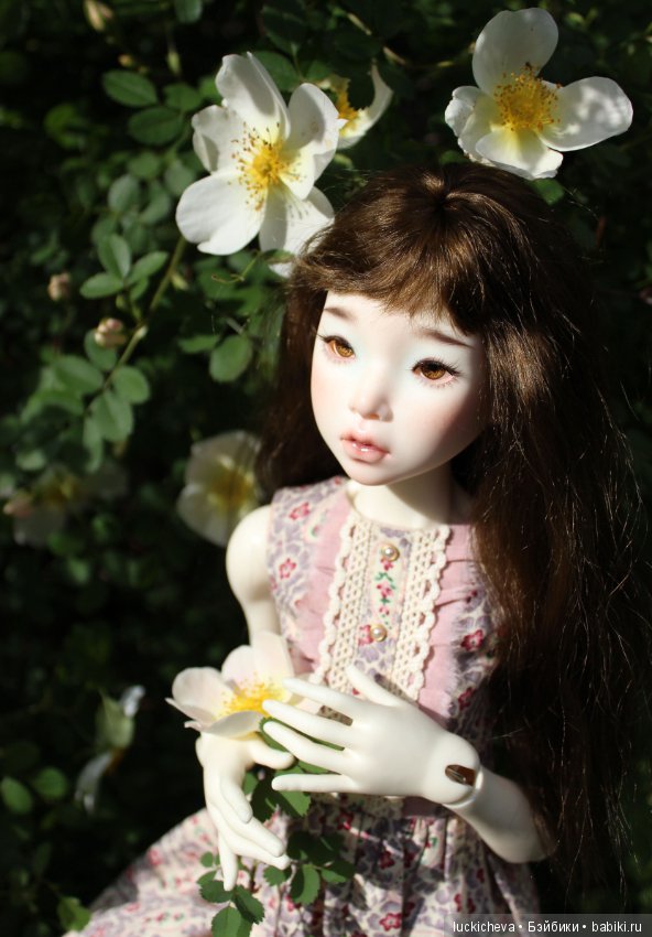 Пройдёмте в сад, я покажу Вас розам! Дикие розы и Файлин. Мой фотогербарий