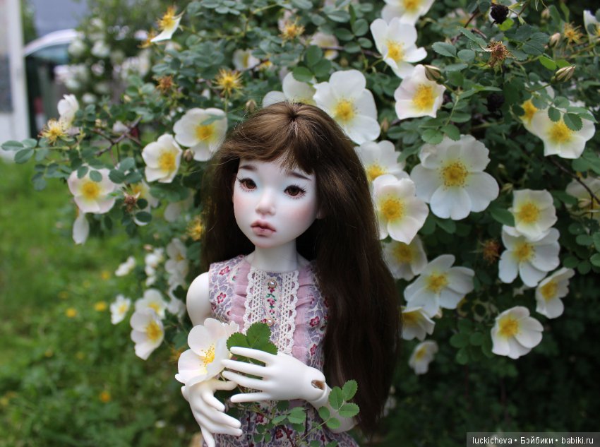 Пройдёмте в сад, я покажу Вас розам! Дикие розы и Файлин. Мой фотогербарий