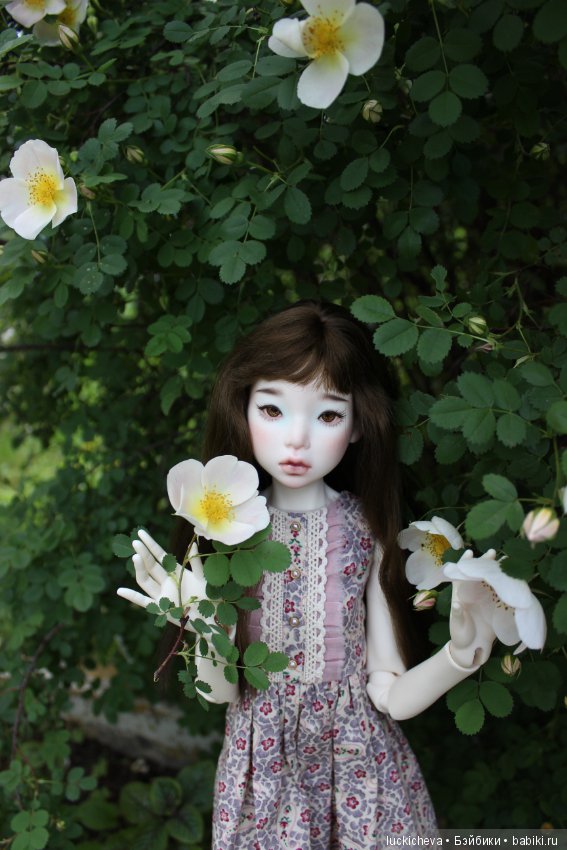 Пройдёмте в сад, я покажу Вас розам! Дикие розы и Файлин. Мой фотогербарий