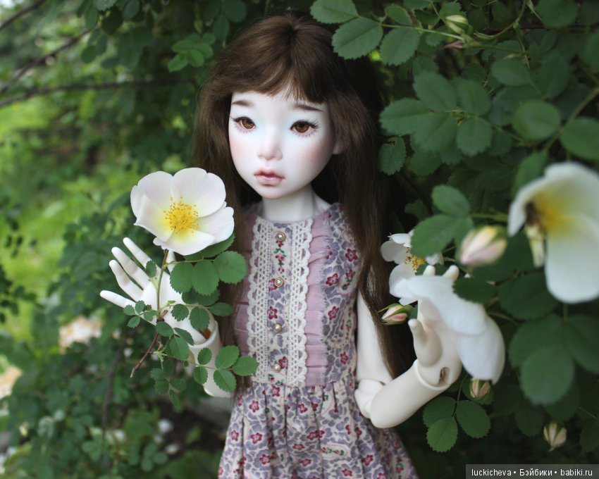 Пройдёмте в сад, я покажу Вас розам! Дикие розы и Файлин. Мой фотогербарий