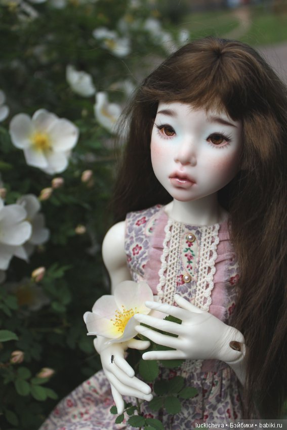 Пройдёмте в сад, я покажу Вас розам! Дикие розы и Файлин. Мой фотогербарий