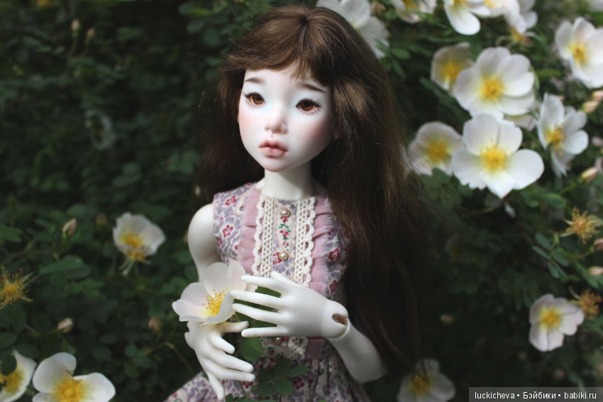 Пройдёмте в сад, я покажу Вас розам! Дикие розы и Файлин. Мой фотогербарий