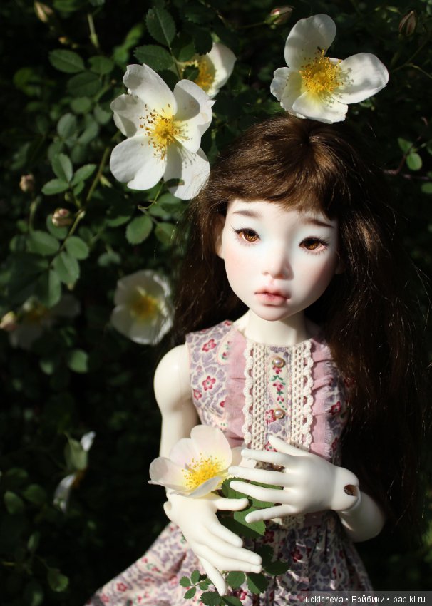 Пройдёмте в сад, я покажу Вас розам! Дикие розы и Файлин. Мой фотогербарий