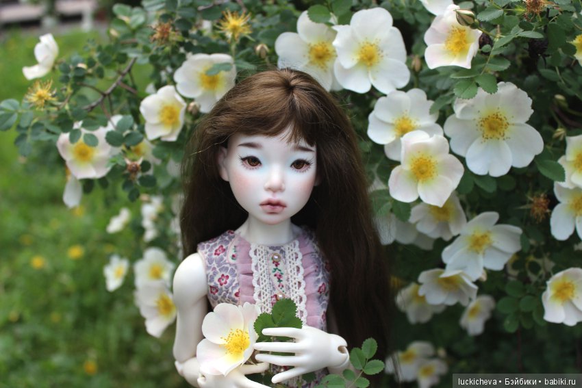 Пройдёмте в сад, я покажу Вас розам! Дикие розы и Файлин. Мой фотогербарий