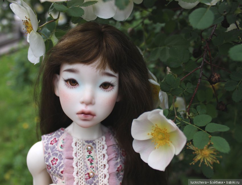 Пройдёмте в сад, я покажу Вас розам! Дикие розы и Файлин. Мой фотогербарий