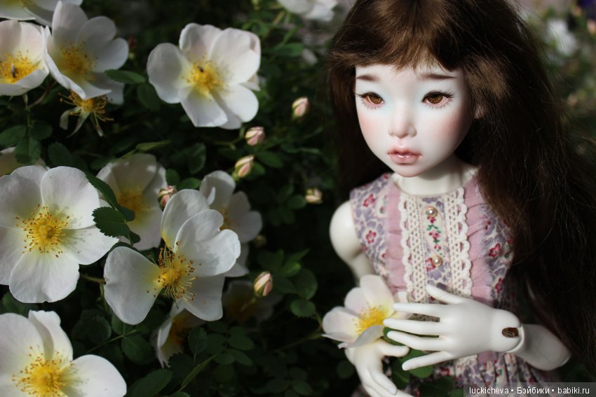 Пройдёмте в сад, я покажу Вас розам! Дикие розы и Файлин. Мой фотогербарий