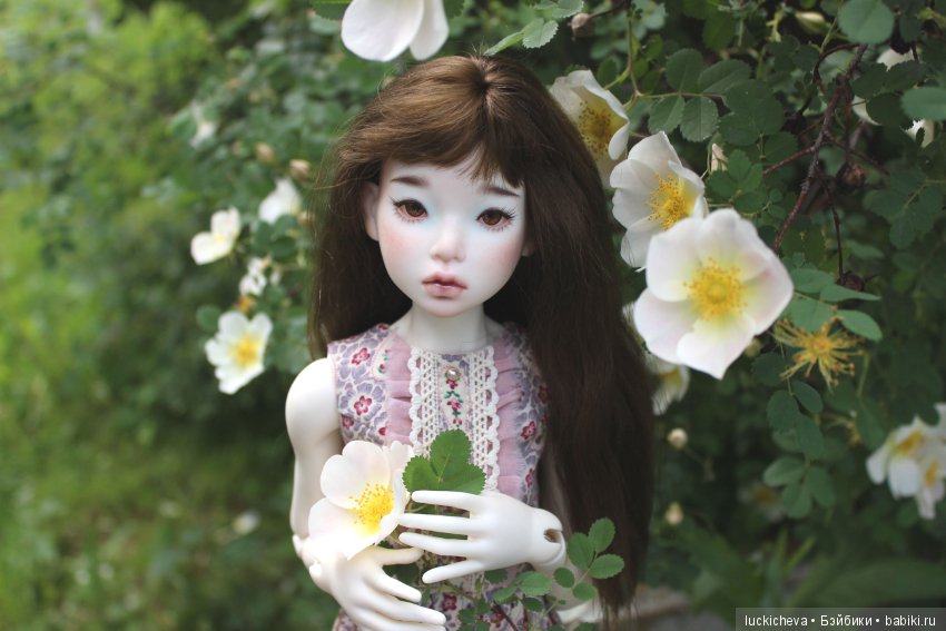 Пройдёмте в сад, я покажу Вас розам! Дикие розы и Файлин. Мой фотогербарий