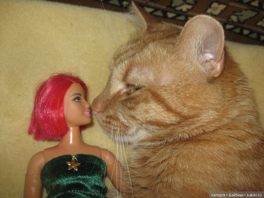 Район Камазовка. Мисс Бэйбики. Выбор платья для презентации Риты (фото 2)