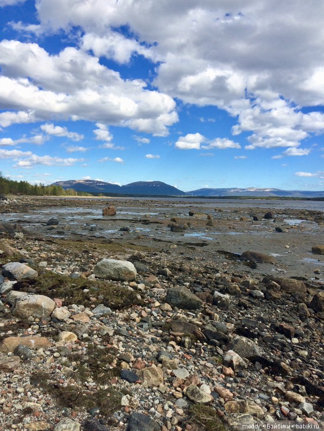 Первый день лета в Заполярье (фото 5)