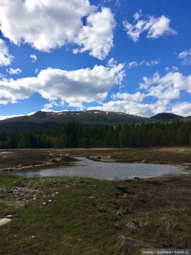 Первый день лета в Заполярье (фото 3)