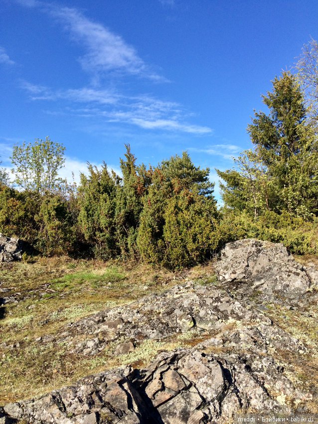 Первый день лета в Заполярье