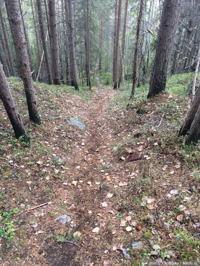 Первый день лета в Заполярье