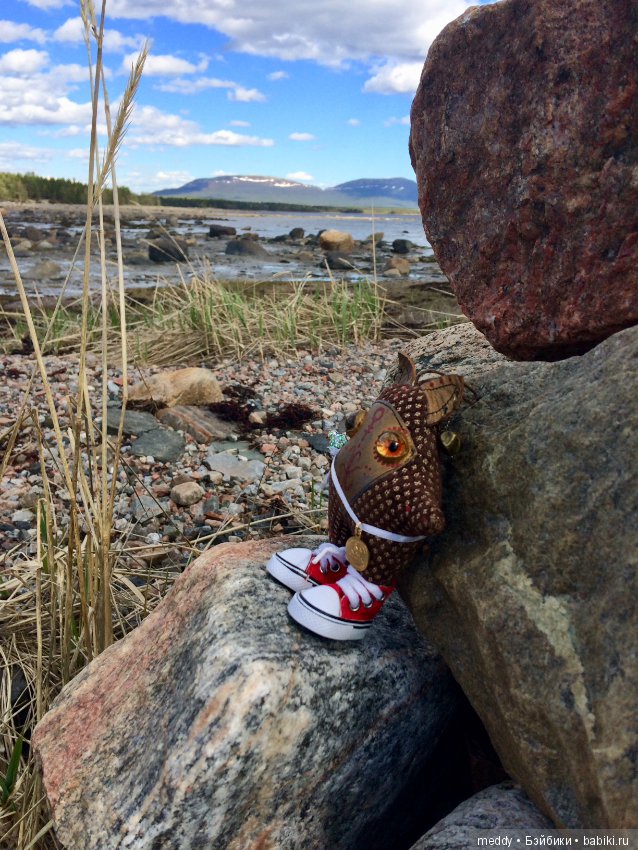 Первый день лета в Заполярье (фото 7)