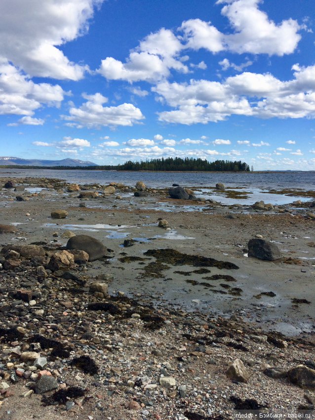 Первый день лета в Заполярье (фото 6)