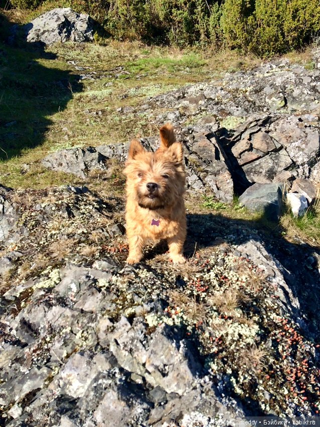 Первый день лета в Заполярье