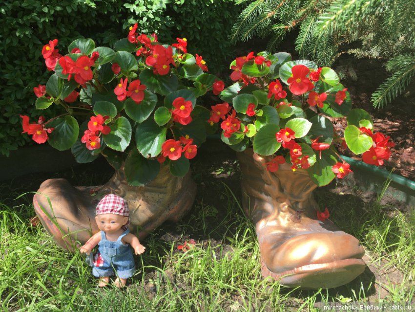 Не лесом единым или Обижулька в парке