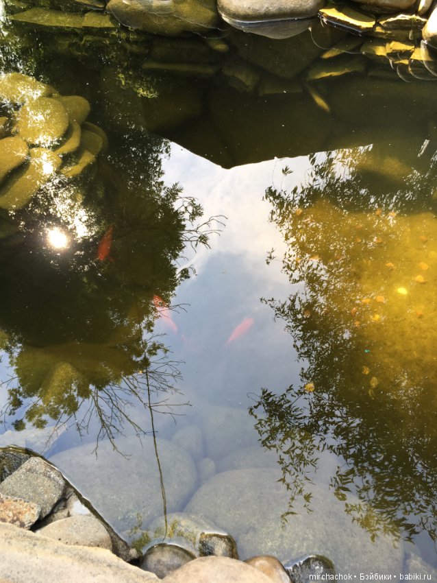 Не лесом единым или Обижулька в парке (фото 4)