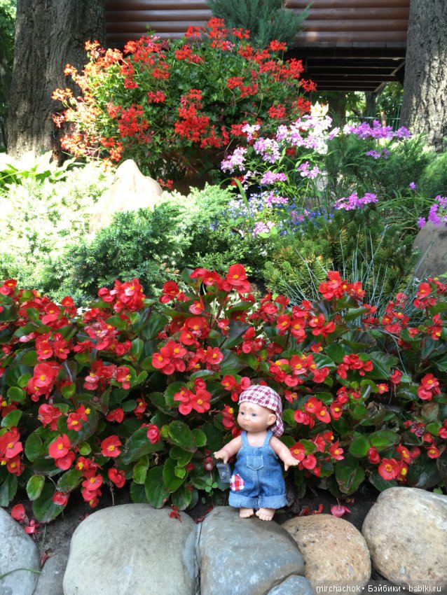 Не лесом единым или Обижулька в парке