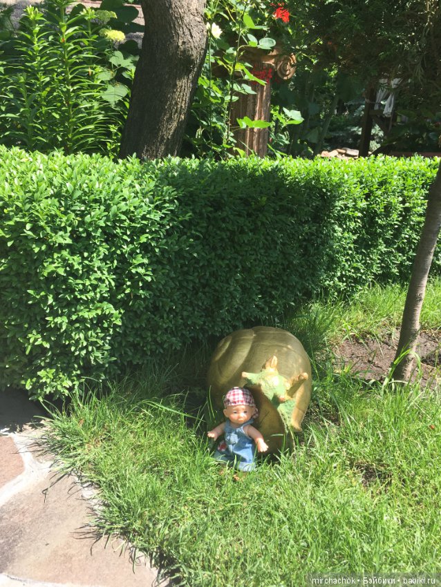 Не лесом единым или Обижулька в парке