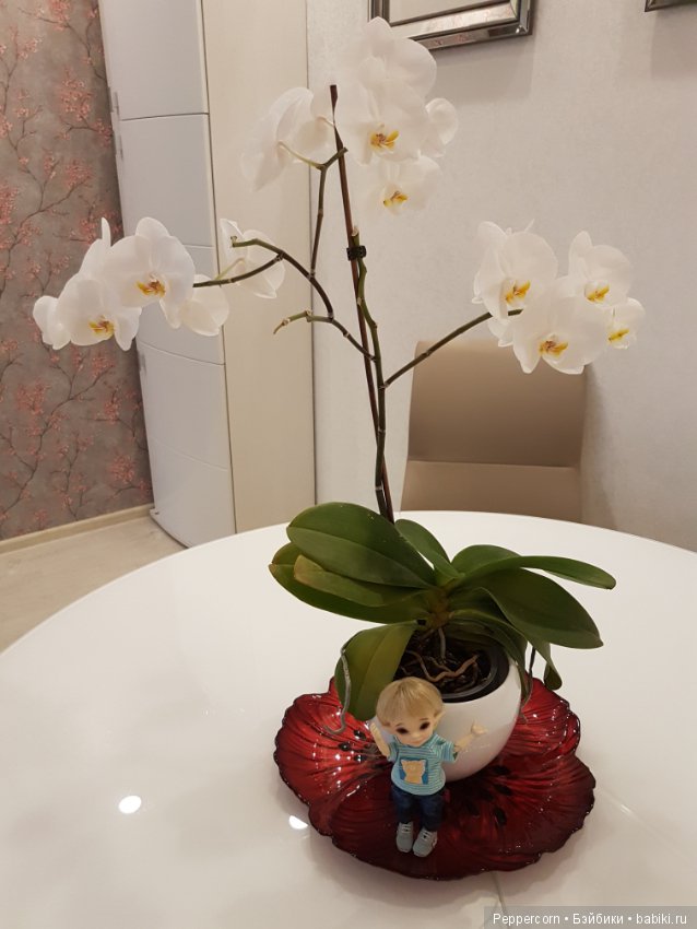 Лучик грустит...Но совсем чуть-чуть (фото 10)