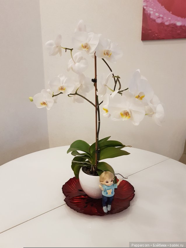 Лучик грустит...Но совсем чуть-чуть (фото 9)