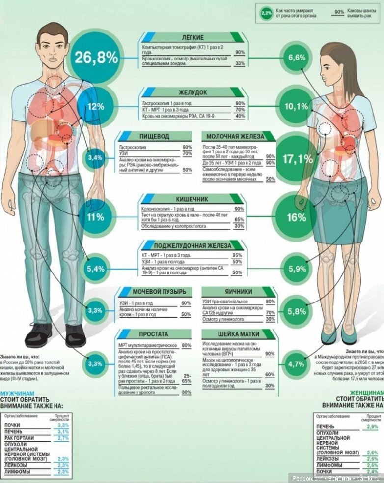 Шпаргалки в картинках о здоровье