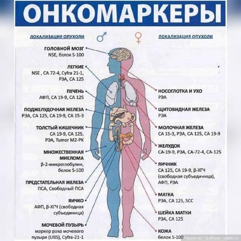 Шпаргалки в картинках о здоровье