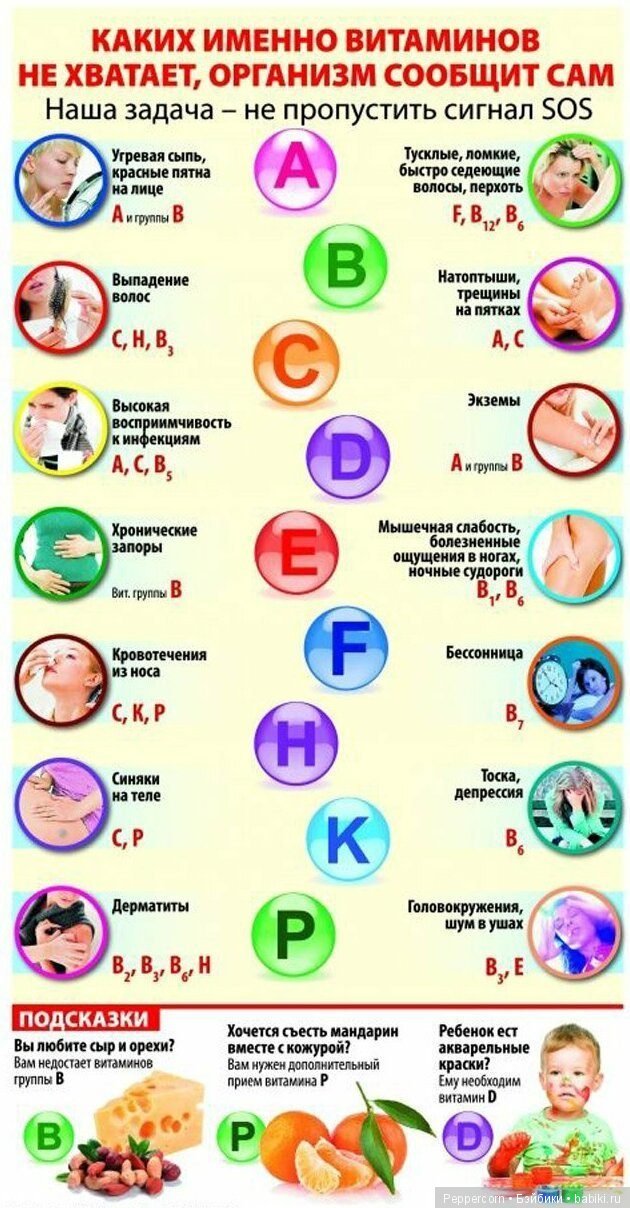 Шпаргалки в картинках о здоровье (фото 2)
