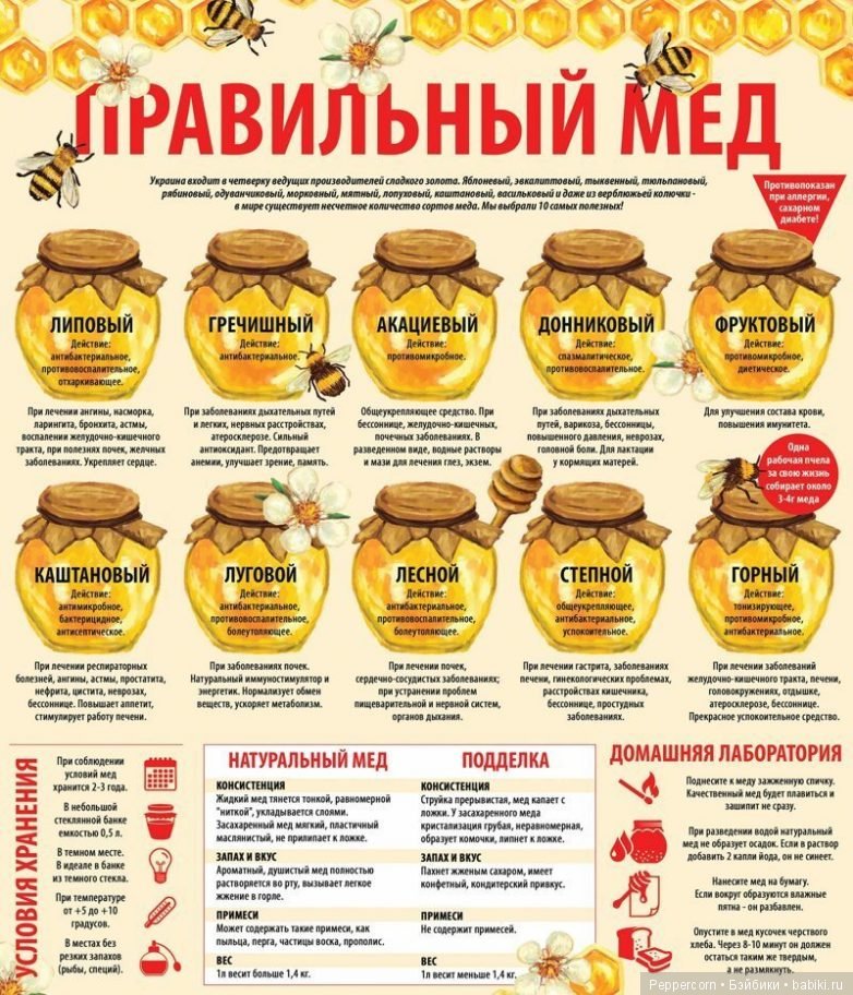 Шпаргалки в картинках о здоровье