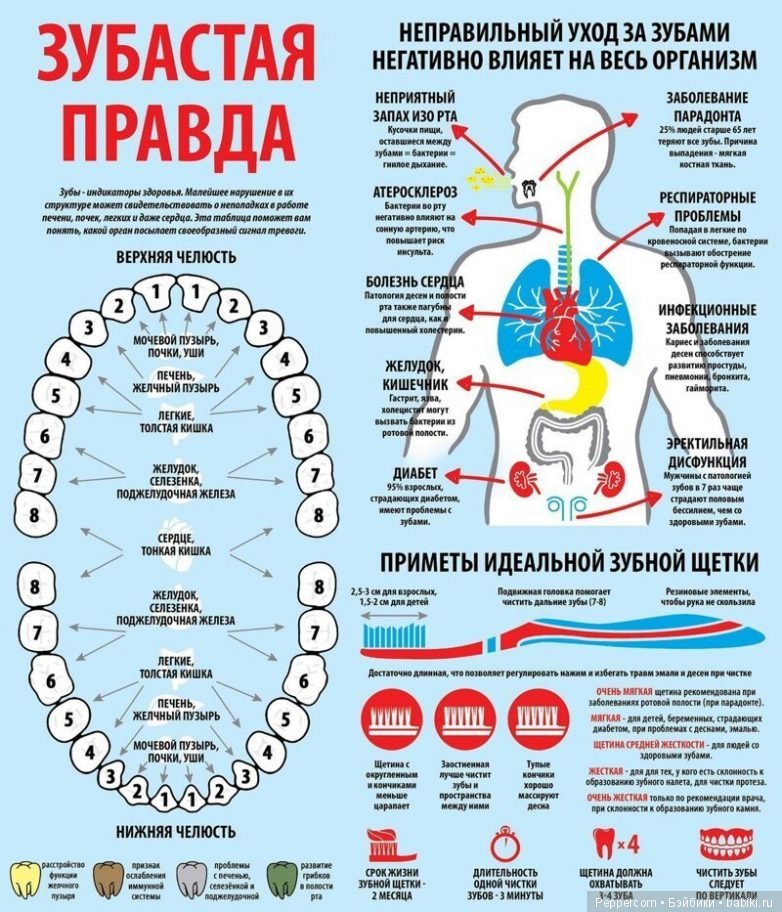 Шпаргалки в картинках о здоровье