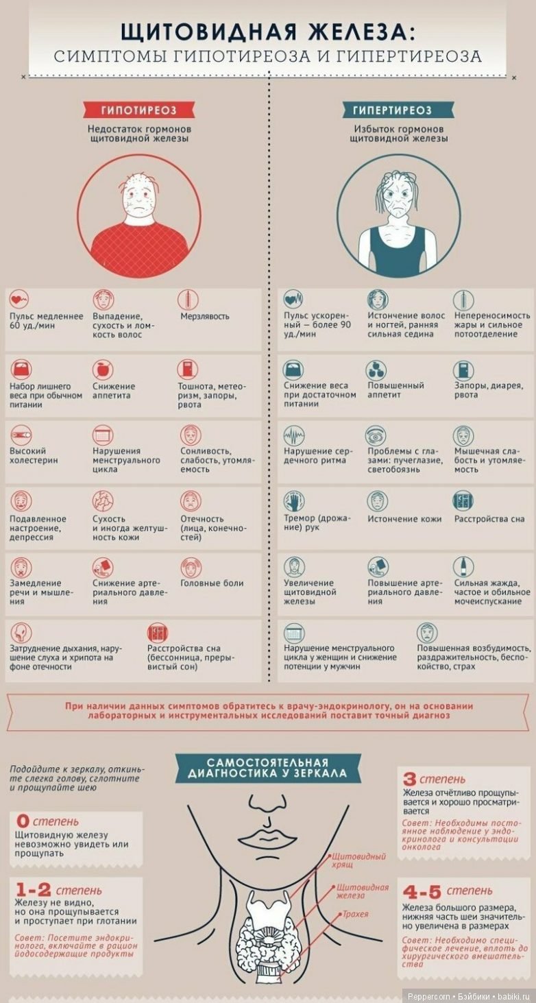 Шпаргалки в картинках о здоровье