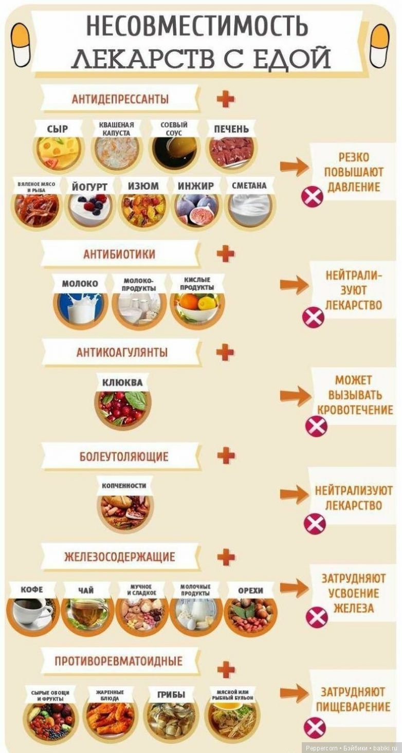 Шпаргалки в картинках о здоровье (фото 9)