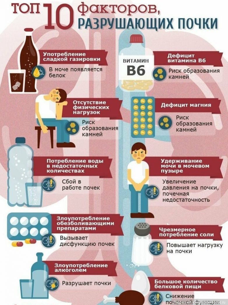 Шпаргалки в картинках о здоровье (фото 7)