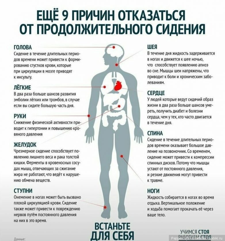 Шпаргалки в картинках о здоровье