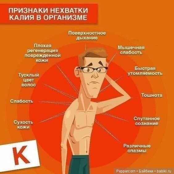 Шпаргалки в картинках о здоровье