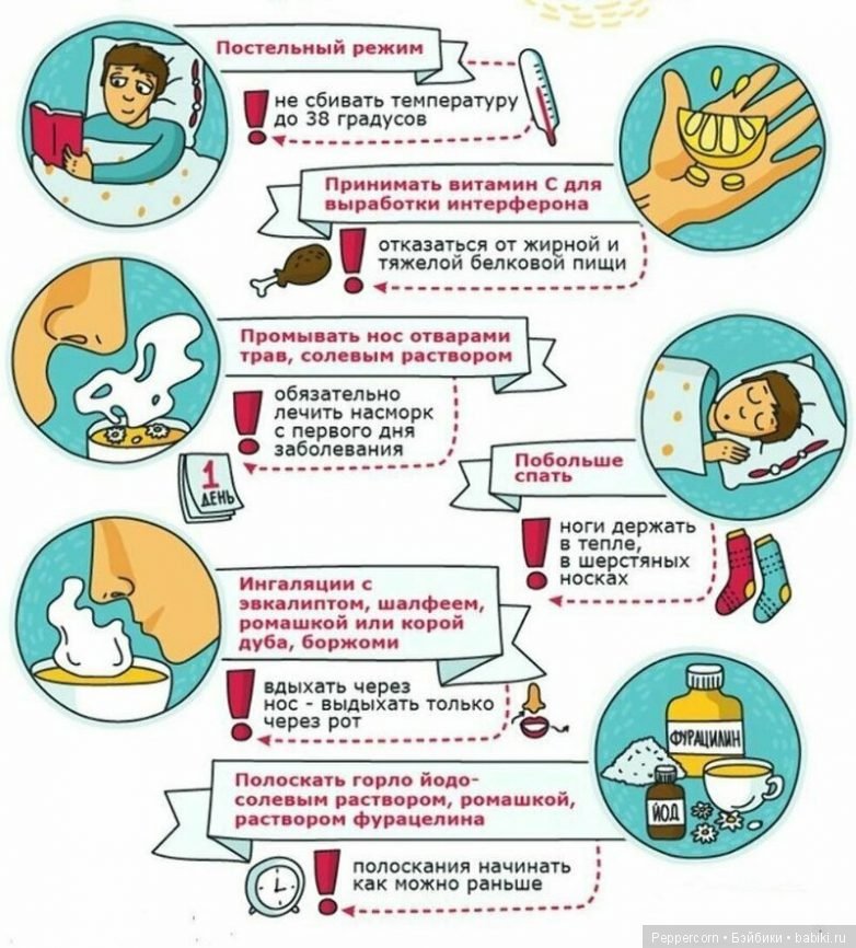 Шпаргалки в картинках о здоровье