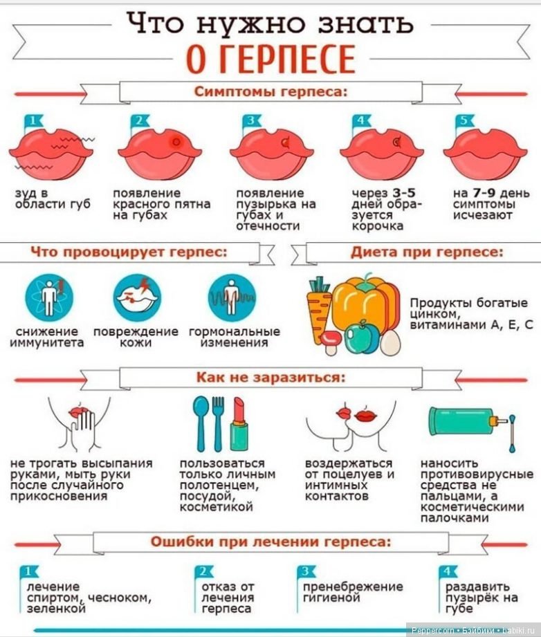 Шпаргалки в картинках о здоровье (фото 5)