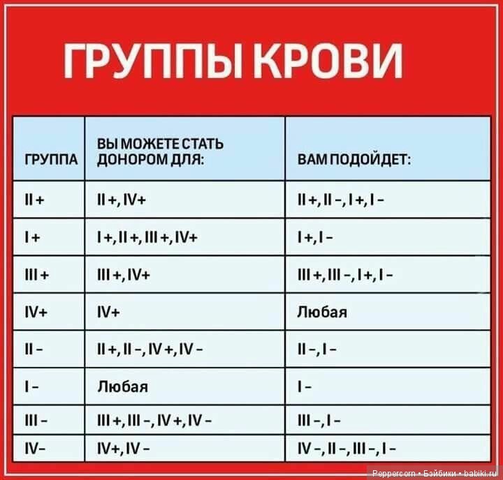 Шпаргалки в картинках о здоровье (фото 4)