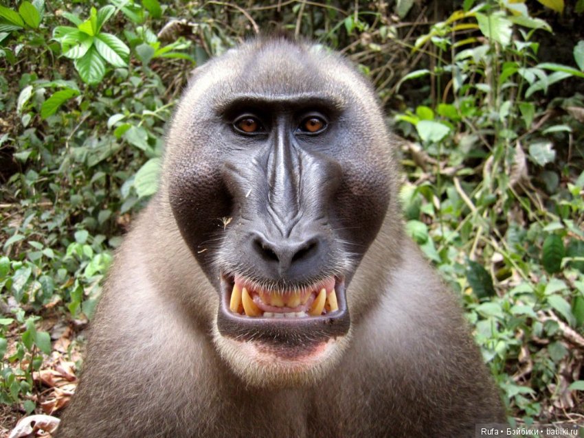 Чужая посылка!! Спасибо огромное за участие в розыске всем (фото 2)