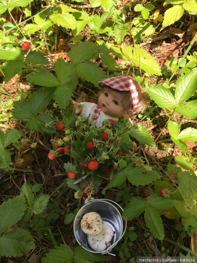 "грибалка" в земляничном раю! Гоша открыл летний сезон тихой охоты:) (фото 9)