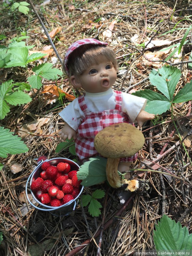 "грибалка" в земляничном раю! Гоша открыл летний сезон тихой охоты:)