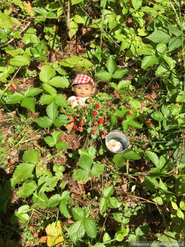 "грибалка" в земляничном раю! Гоша открыл летний сезон тихой охоты:) (фото 10)
