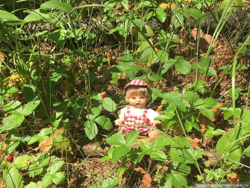 "грибалка" в земляничном раю! Гоша открыл летний сезон тихой охоты:)
