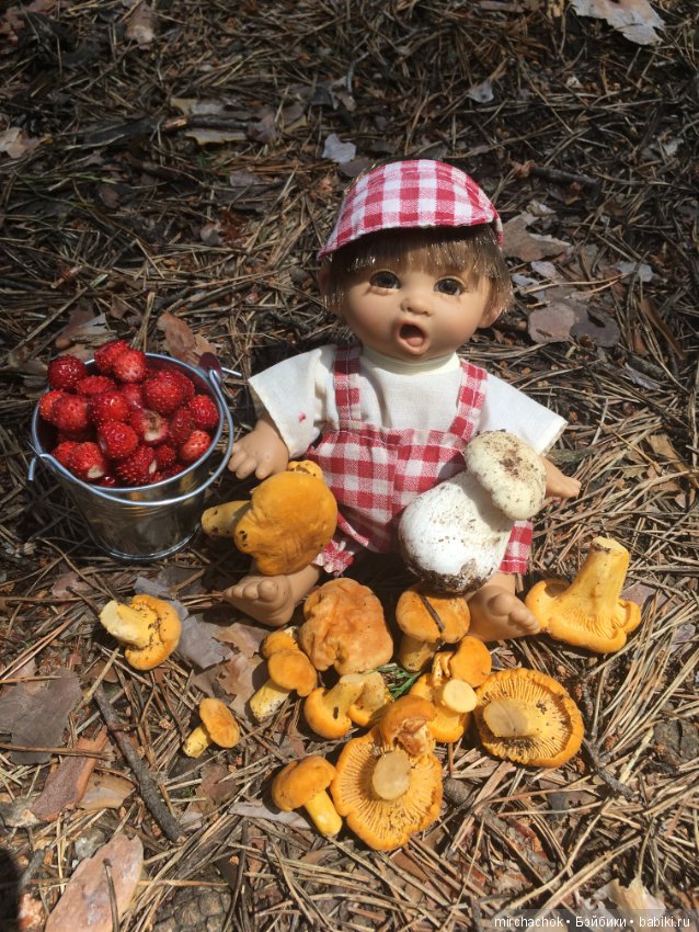 "грибалка" в земляничном раю! Гоша открыл летний сезон тихой охоты:)