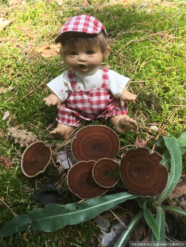 "грибалка" в земляничном раю! Гоша открыл летний сезон тихой охоты:)