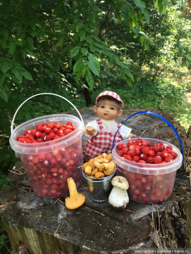 "грибалка" в земляничном раю! Гоша открыл летний сезон тихой охоты:)