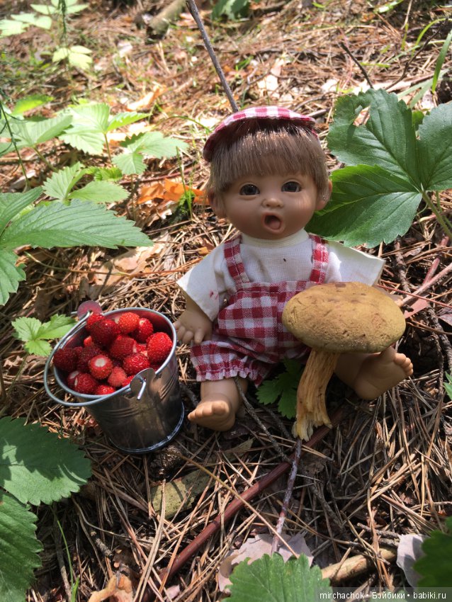 "грибалка" в земляничном раю! Гоша открыл летний сезон тихой охоты:)