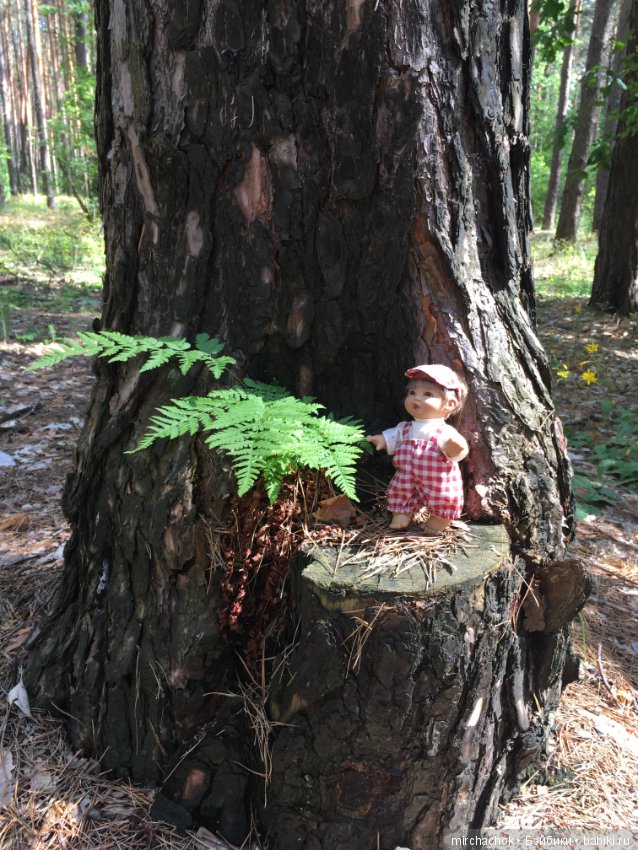 "грибалка" в земляничном раю! Гоша открыл летний сезон тихой охоты:)